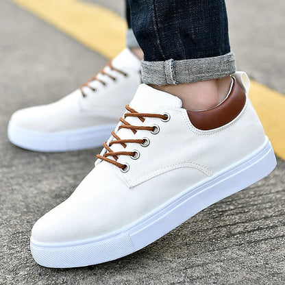Men’s Low-Top Sneakers – Canvas Upper – Leather Heel – Casual Fit – Lace-Up
