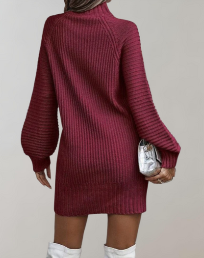 Women's Ribbed Knit Sweater Dress - Fitted High Neck - Long Sleeve Casual Wear