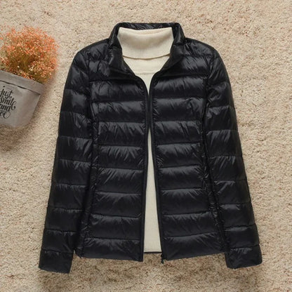 Women’s Quilted Jacket – Regular Fit – Lightweight Padded – Zip Front – Hip Length