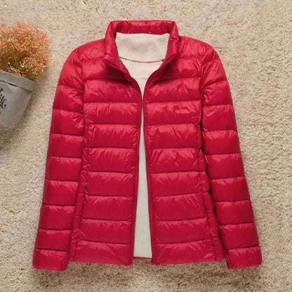Women’s Quilted Jacket – Regular Fit – Lightweight Padded – Zip Front – Hip Length