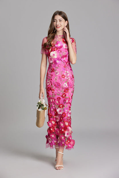 Women’s Maxi Dress – Fitted Silhouette – Embroidered Mesh – Sheer High Neckline